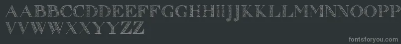 Police Zierinitialen1 – polices grises sur fond noir