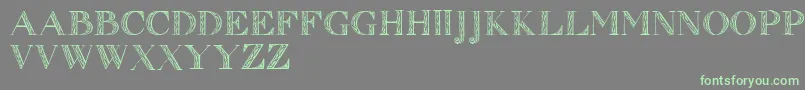 Zierinitialen1 Font – Green Fonts on Gray Background