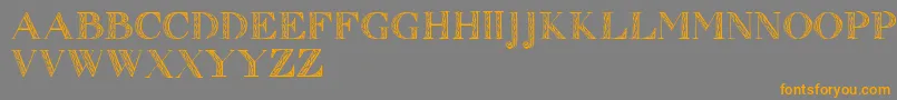 Zierinitialen1 Font – Orange Fonts on Gray Background