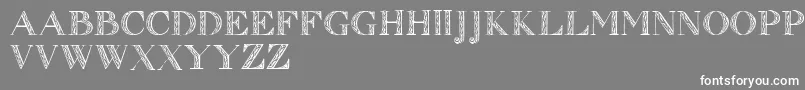 フォントZierinitialen1 – 灰色の背景に白い文字
