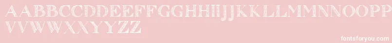 Zierinitialen1 Font – White Fonts on Pink Background