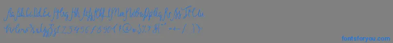 Sild Regular-Schriftart – Blaue Schriften auf grauem Hintergrund