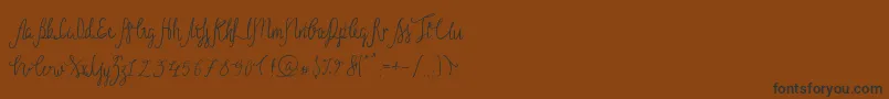 Sild Regular-fontti – mustat fontit ruskealla taustalla