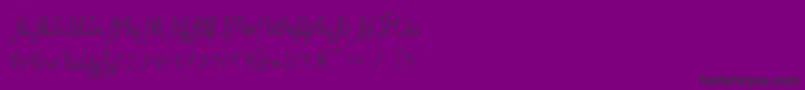 Sild Regular-fontti – mustat fontit violetilla taustalla