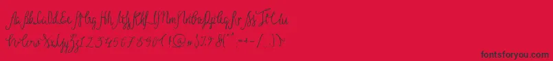 Sild Regular Font – Black Fonts on Red Background