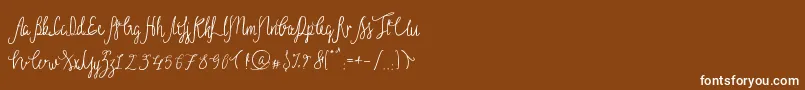 Sild Regular Font – White Fonts on Brown Background