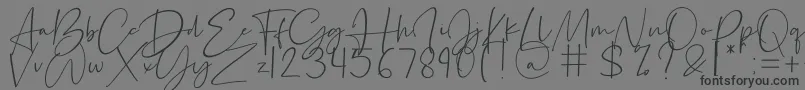 Silence Rocken-Schriftart – Schwarze Schriften auf grauem Hintergrund