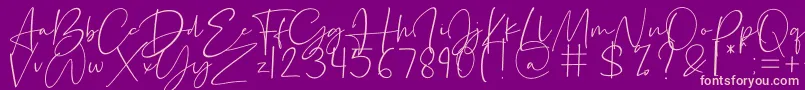 Silence Rocken-Schriftart – Rosa Schriften auf violettem Hintergrund