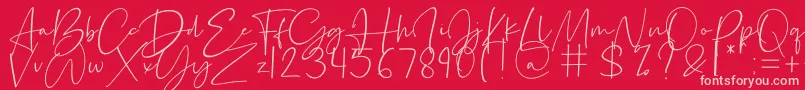 Silence Rocken Font – Pink Fonts on Red Background