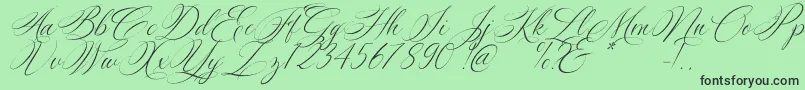 Silenter Font – Black Fonts on Green Background