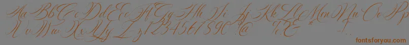 Silenter Font – Brown Fonts on Gray Background