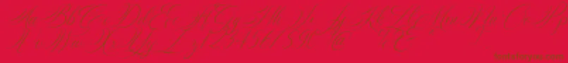 Silenter Font – Brown Fonts on Red Background