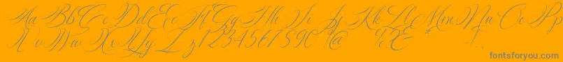 Silenter Font – Gray Fonts on Orange Background
