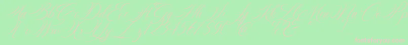 Silenter Font – Pink Fonts on Green Background