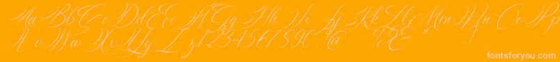 Silenter Font – Pink Fonts on Orange Background