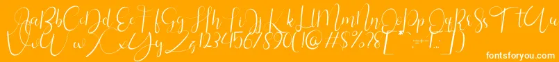 Silhouette Personal Use1 Font – White Fonts on Orange Background