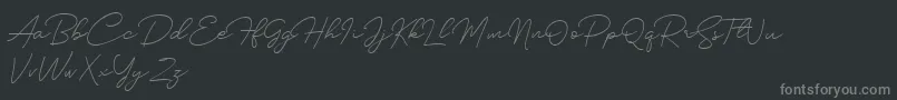Silhouette Font – Gray Fonts on Black Background
