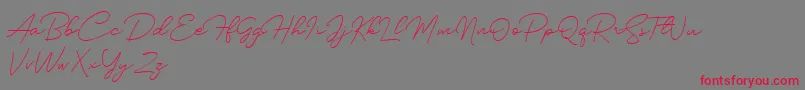 Silhouette Font – Red Fonts on Gray Background