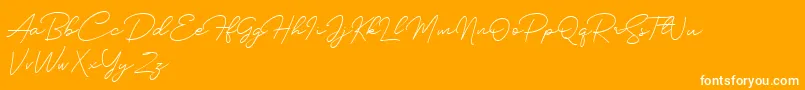 Silhouette Font – White Fonts on Orange Background