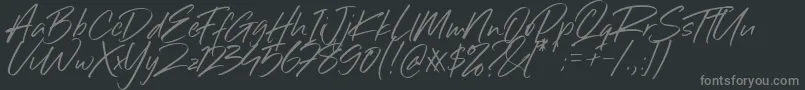 フォントSillii Willinn Font – 黒い背景に灰色の文字