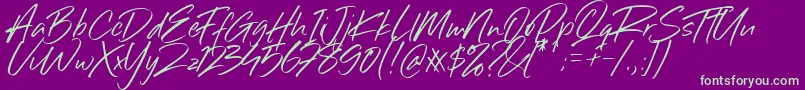 Sillii Willinn Font Font – Green Fonts on Purple Background