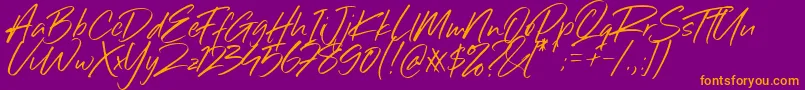 Sillii Willinn Font Font – Orange Fonts on Purple Background