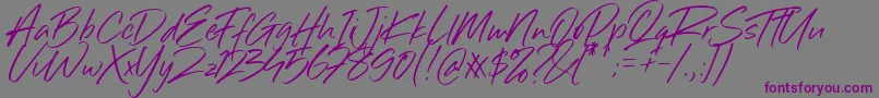 Sillii Willinn Font Font – Purple Fonts on Gray Background