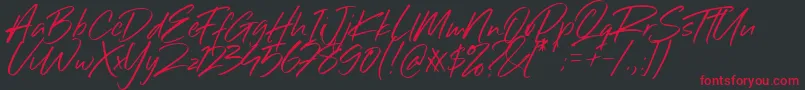 Sillii Willinn Font-Schriftart – Rote Schriften auf schwarzem Hintergrund