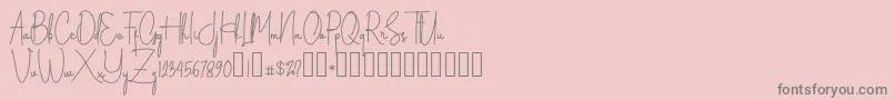 Silverstain Signature Demo-Schriftart – Graue Schriften auf rosa Hintergrund