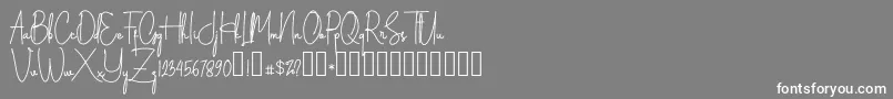 フォントSilverstain Signature Demo – 灰色の背景に白い文字