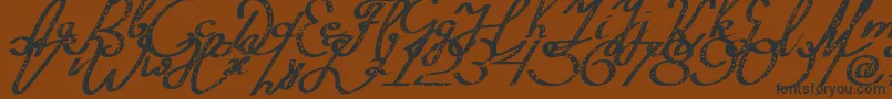 Silvestero Font – Black Fonts on Brown Background