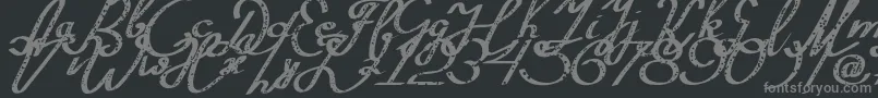 Silvestero Font – Gray Fonts on Black Background