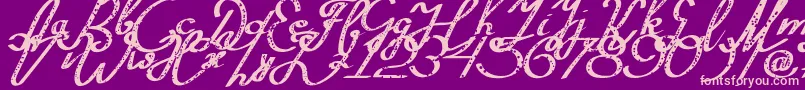 Silvestero Font – Pink Fonts on Purple Background