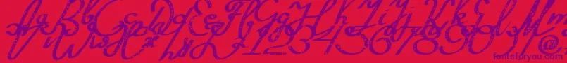 Silvestero Font – Purple Fonts on Red Background