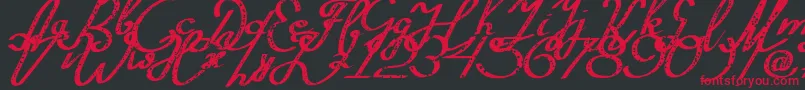 Silvestero Font – Red Fonts on Black Background