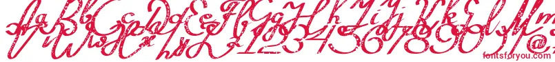 Silvestero-fontti – punaiset fontit valkoisella taustalla