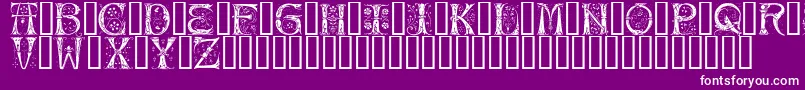 silvus   Font – White Fonts on Purple Background