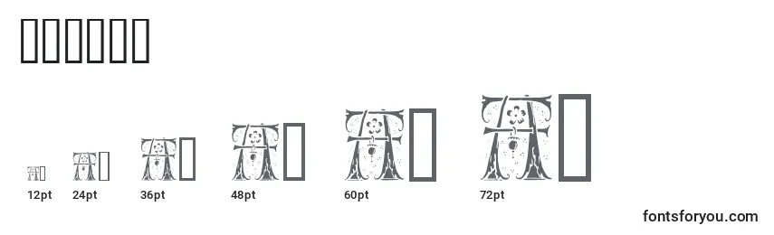 Размеры шрифта Silvus   (140929)