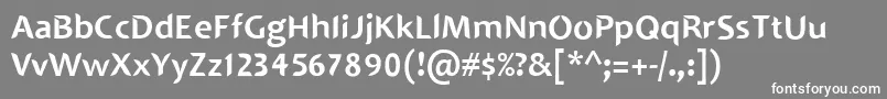 SINGAPOLENG Font – White Fonts on Gray Background