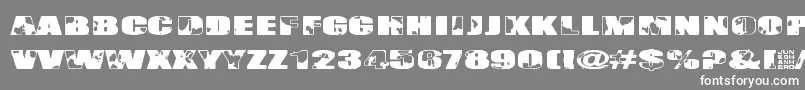 Singapore Font – White Fonts on Gray Background