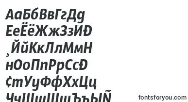 SansusWebissimoItalic font – russian Fonts