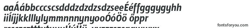 Шрифт SansusWebissimoItalic – венгерские шрифты