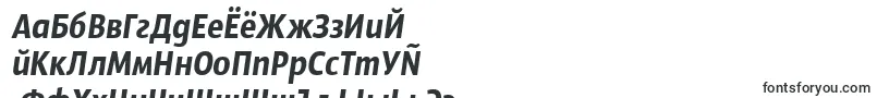 SansusWebissimoItalic Font – Russian Fonts
