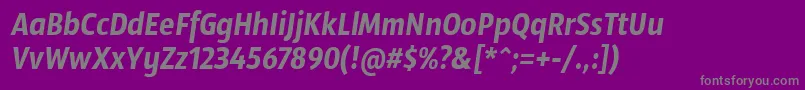 SansusWebissimoItalic Font – Gray Fonts on Purple Background