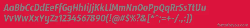 フォントSansusWebissimoItalic – 赤い背景に灰色の文字