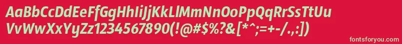 SansusWebissimoItalic Font – Green Fonts on Red Background