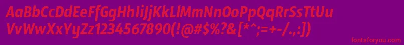 SansusWebissimoItalic Font – Red Fonts on Purple Background