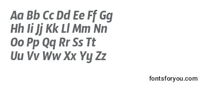 SansusWebissimoItalic Font