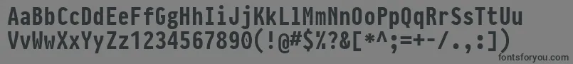PragmataproBold Font – Black Fonts on Gray Background