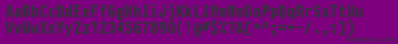 PragmataproBold Font – Black Fonts on Purple Background